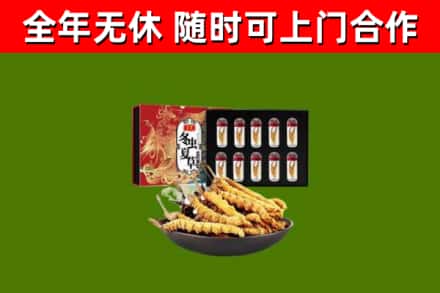 吴兴回收冬虫夏草价格