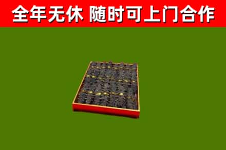 吴兴回收海参